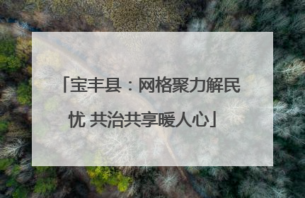 宝丰县：网格聚力解民忧 共治共享暖人心