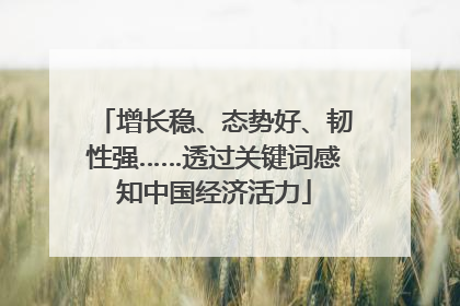增长稳、态势好、韧性强……透过关键词感知中国经济活力
