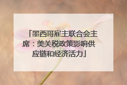 墨西哥雇主联合会主席：美关税政策影响供应链和经济活力