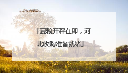 夏粮开秤在即，河北收购准备就绪