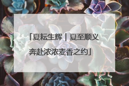 夏耘生辉｜夏至顺义奔赴浓浓麦香之约