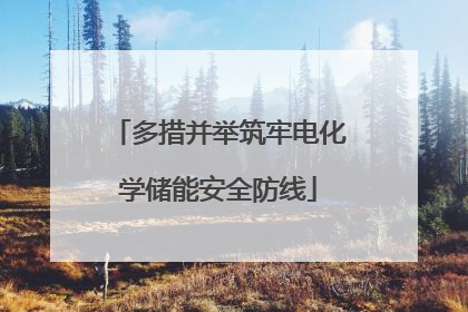 多措并举筑牢电化学储能安全防线