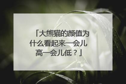 大熊猫的颜值为什么看起来一会儿高一会儿低？
