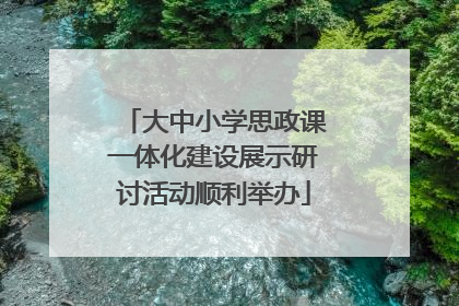 大中小学思政课一体化建设展示研讨活动顺利举办