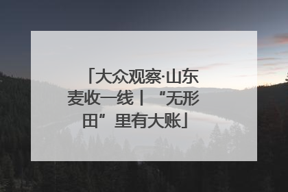 大众观察·山东麦收一线丨“无形田”里有大账