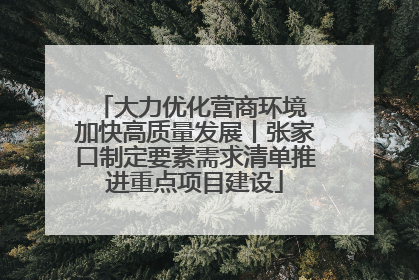 大力优化营商环境 加快高质量发展丨张家口制定要素需求清单推进重点项目建设