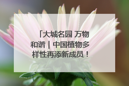 大城名园 万物和谐｜中国植物多样性再添新成员！它只在西藏墨脱