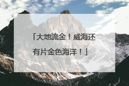 大地流金！威海还有片金色海洋！