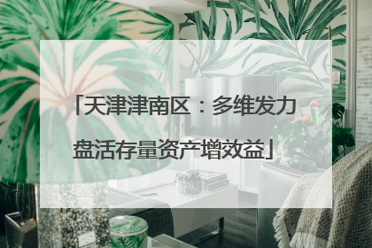 天津津南区：多维发力盘活存量资产增效益