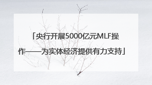 央行开展5000亿元MLF操作——为实体经济提供有力支持