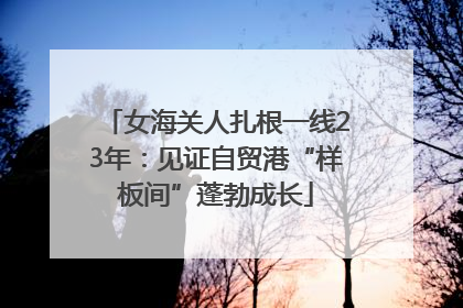 女海关人扎根一线23年：见证自贸港“样板间”蓬勃成长