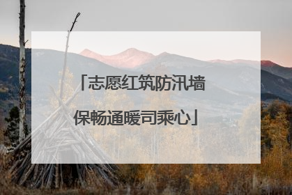 志愿红筑防汛墙 保畅通暖司乘心