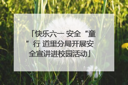 快乐六一 安全“童”行 道里分局开展安全宣讲进校园活动