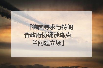 德国寻求与特朗普政府协调涉乌克兰问题立场