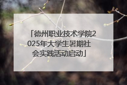 德州职业技术学院2025年大学生暑期社会实践活动启动