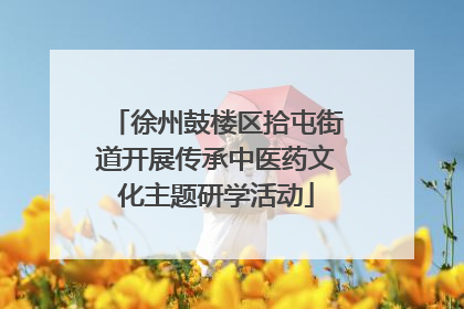 徐州鼓楼区拾屯街道开展传承中医药文化主题研学活动
