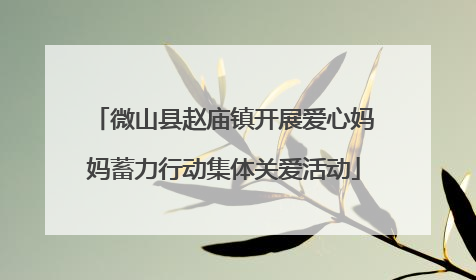 微山县赵庙镇开展爱心妈妈蓄力行动集体关爱活动