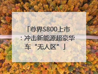 尊界S800上市：冲击新能源超豪华车“无人区”