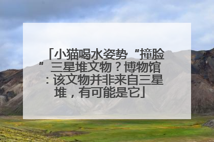 小猫喝水姿势“撞脸”三星堆文物？博物馆：该文物并非来自三星堆，有可能是它