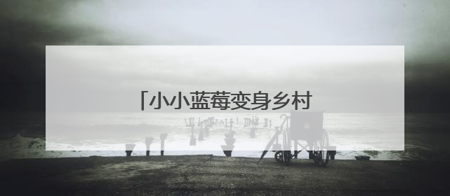 小小蓝莓变身乡村振兴“致富果”