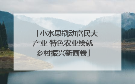 小水果撬动富民大产业 特色农业绘就乡村振兴新画卷