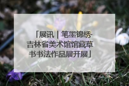 展讯｜笔墨锦绣·吉林省美术馆馆藏草书书法作品展开展
