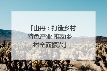 山丹：打造乡村特色产业 推动乡村全面振兴