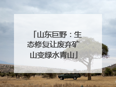 山东巨野：生态修复让废弃矿山变绿水青山