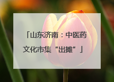 山东济南：中医药文化市集“出摊”