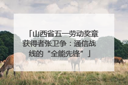 山西省五一劳动奖章获得者张卫争：通信战线的“全能先锋”