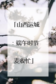 山西运城：端午时节麦收忙