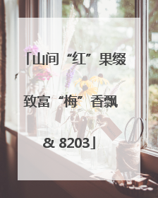 山间“红”果缀 致富“梅”香飘& 8203