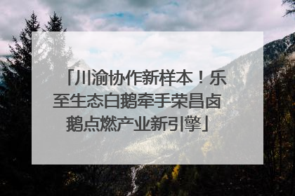 川渝协作新样本！乐至生态白鹅牵手荣昌卤鹅点燃产业新引擎