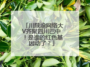 川陕渝网络大V齐聚四川巴中！是谁的红色基因动了？