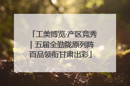 工美博览·产区竞秀｜五届全勤陇原列阵 百品领衔甘肃出彩