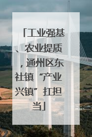 工业强基、农业提质，通州区东社镇“产业兴镇”扛担当