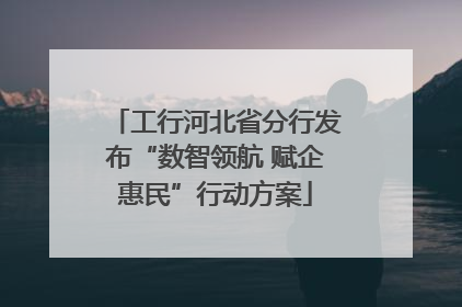 工行河北省分行发布“数智领航 赋企惠民”行动方案