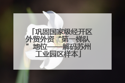巩固国家级经开区外贸外资“第一梯队”地位——解码苏州工业园区样本