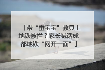 带“蚕宝宝”教具上地铁被拦？家长喊话成都地铁“网开一面”