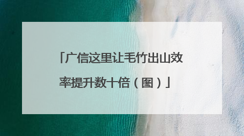 广信这里让毛竹出山效率提升数十倍（图）