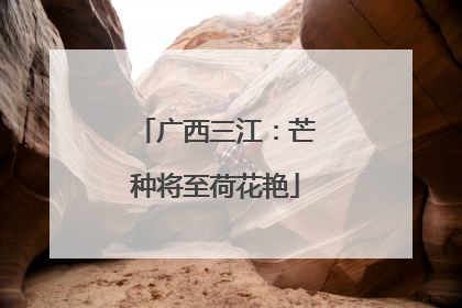 广西三江：芒种将至荷花艳