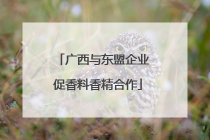 广西与东盟企业促香料香精合作