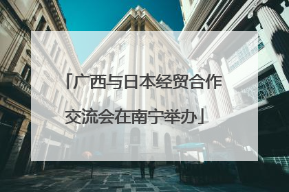 广西与日本经贸合作交流会在南宁举办
