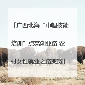 广西北海“巾帼技能培训”点亮创业路 农村女性就业之路变宽