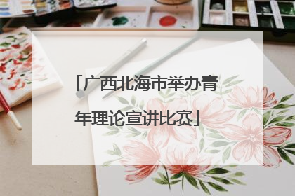 广西北海市举办青年理论宣讲比赛