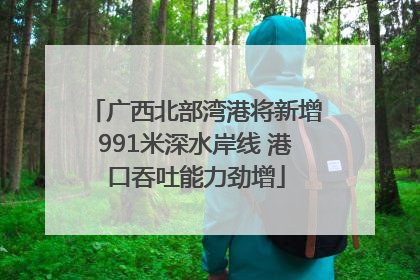 广西北部湾港将新增991米深水岸线 港口吞吐能力劲增