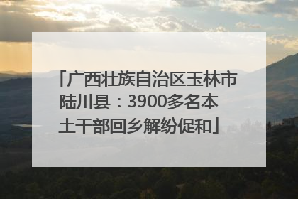 广西壮族自治区玉林市陆川县：3900多名本土干部回乡解纷促和