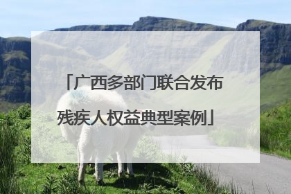 广西多部门联合发布残疾人权益典型案例