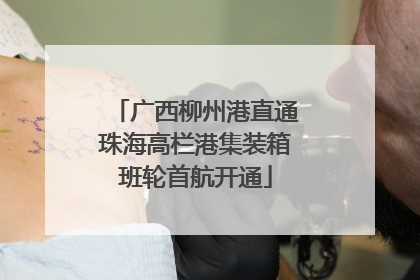 广西柳州港直通珠海高栏港集装箱班轮首航开通