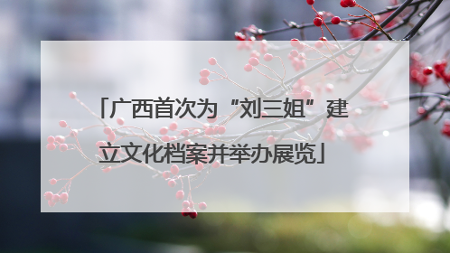 广西首次为“刘三姐”建立文化档案并举办展览